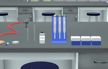 Virtual Chemistry Lab